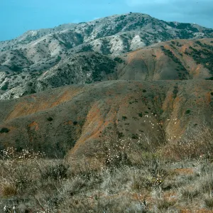 Geologic contact, looking west from ridge on E side of Coches Prietos, Santa Cruz Island