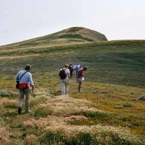 north end trail, Santa Barbara Island