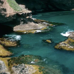 Landing cove, Santa Barbara Island