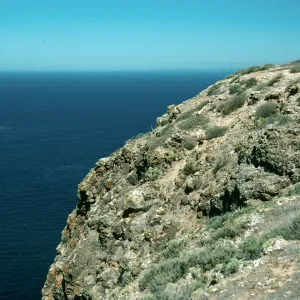 Bluffs, Signal Peak, Santa Barbara Island