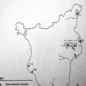 Dudleya traskiae distribution on Santa Barbara Island from NPS report 1989