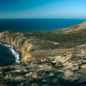 Northwest slopes from Signal Peak, Santa Barbara Island
