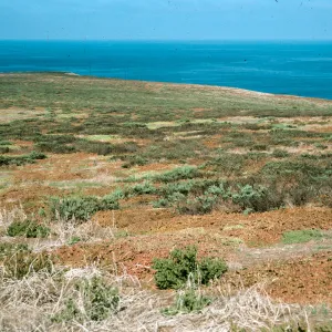 West slopes,site of potato patch during Hyder Years