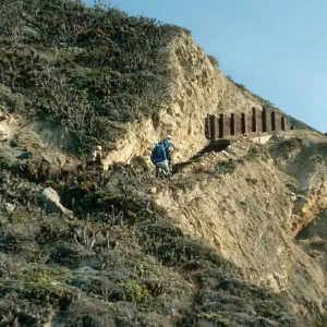 trail up Canada del Mar, San Miguel Island