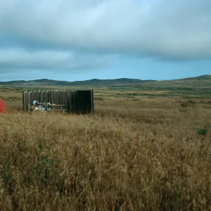 Campground, San Miguel Island