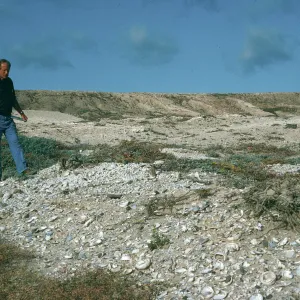 Jim Blakley, land snails, San Nicolas Island