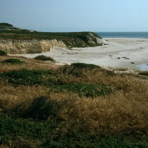 Beach just north of Cardwell Point, San Miguel Island