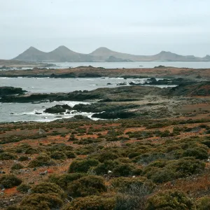 West San Benito Island, flats on Northeast portion 