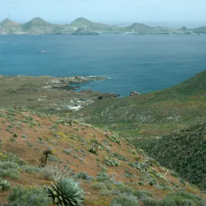 West San Benito Island, view of East Island from ridgetop