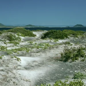 San Martin Island, dunes, Hassler’s Cove