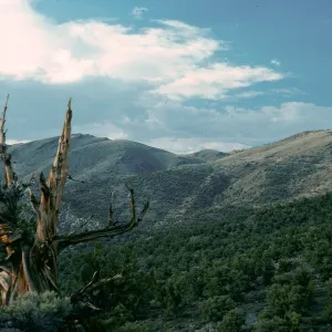 White Mountains, grand view