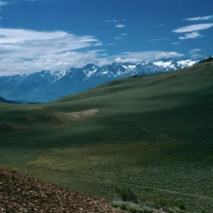 White Mountains, view of Sierra Nevada, North of Schulman Grove