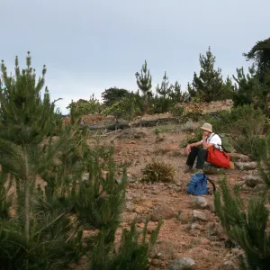 Santa Cruz Island, East of Twin Canyon