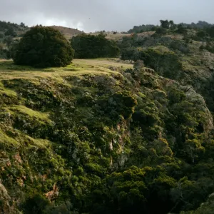Santa Cruz Island, Pelican-Prisoners Trail