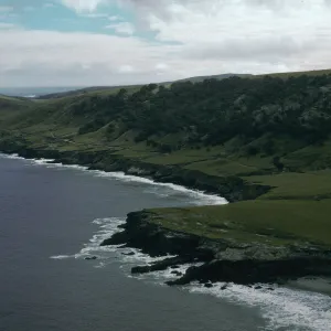 Santa Rosa Island, Beechers Bay, Torrey Pines