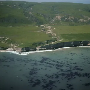 Santa Rosa Island, Beechers Bay