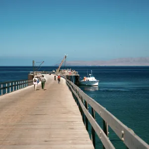 Santa Rosa Island, Beechers Bay, wharf