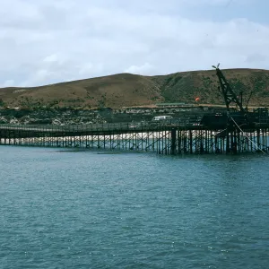 Santa Rosa Island, Beechers Bay