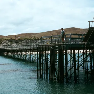 Santa Rosa Island, Beechers Bay