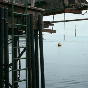 Santa Rosa Island, Vail Ranch, pier