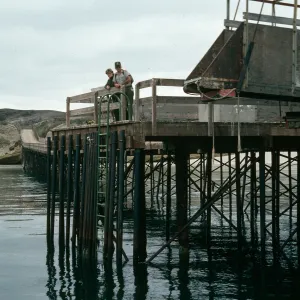Santa Rosa Island, Vail Ranch, wharf