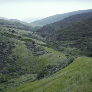 Santa Cruz Island, Central Valley, Coastal Sage Scrub, South facing slopes