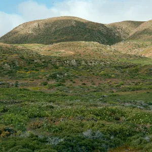 West San Benito Island, flats, North of village