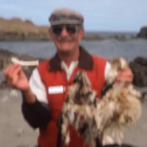 West San Benito Island, Bill Samaras w/penis bone & Osprey