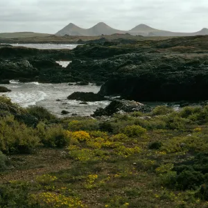 West San Benito Island, view of East Island, Northwest coast