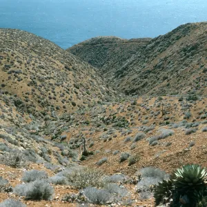 West San Benito Island, Southwest hills
