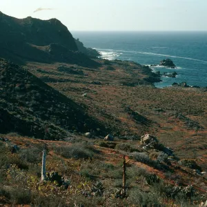 Northwest side of West San Benito Island