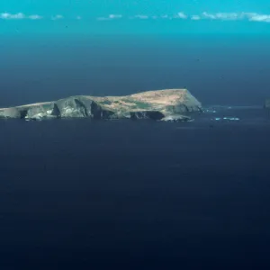Santa Barbara Island, on San Nicolas flight