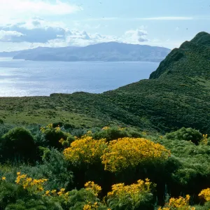 West Anacapa Island, view of Santa Cruz Island from saddle, between Summit & Camel Peaks