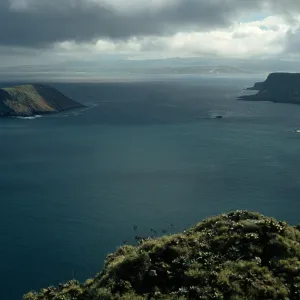 San Miguel Island, Prince Island, Cuylor Harbor from Devils Knoll