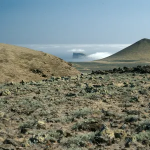 Guadalupe Island, view of outer islet, South end of island