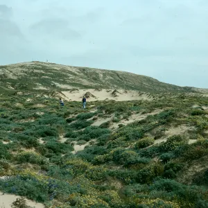 San Nicolas Island, dunes, near Red Eye Beach