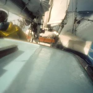 Guadalupe Island, schooner - Shearwater
