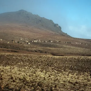 Guadalupe Island