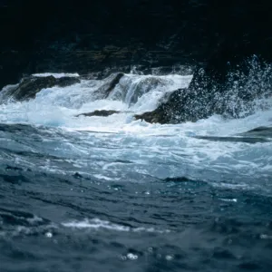 Guadalupe Island, landing, outer islet