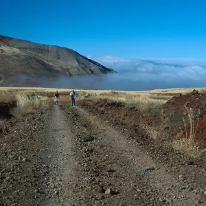 Guadalupe Island, road from airstrip to North end