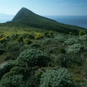 West Anacapa Island, Summit Peak from West flanks of Camel Peak