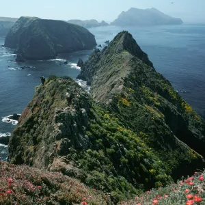East Anacapa Island, Inspiration Point, looking west