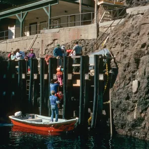 East Anacapa Island, landing