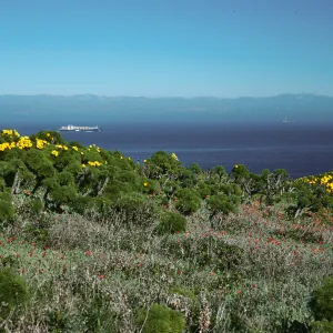 View of channel, East Anacapa Island