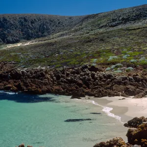 Cove just west of Hoffmann Point, San Miguel Island