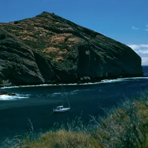 Coches Prietos, Santa Cruz Island