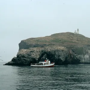 East end, East Anacapa Island