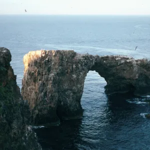 Arch Roack from slope Northeast of lighthouse, East Anacapa Island