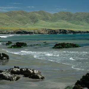 Lowtide, Forney’s Cove, Santa Cruz Island