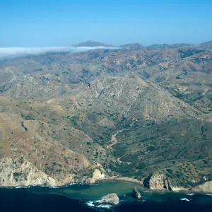 Willows Canyon, Santa Cruz Island